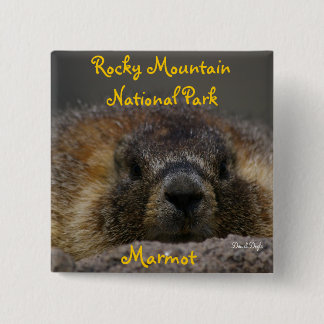 Marmot at Rocky Mountian National Park 2 Inch Square Button