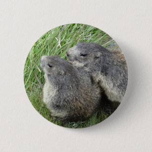 Marmot button