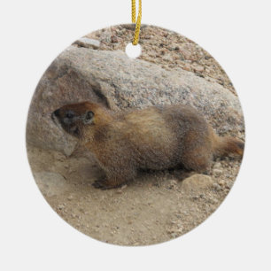 Marmot Ceramic Ornament