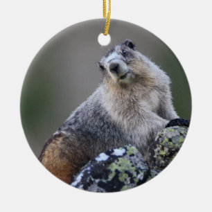 marmot ceramic ornament