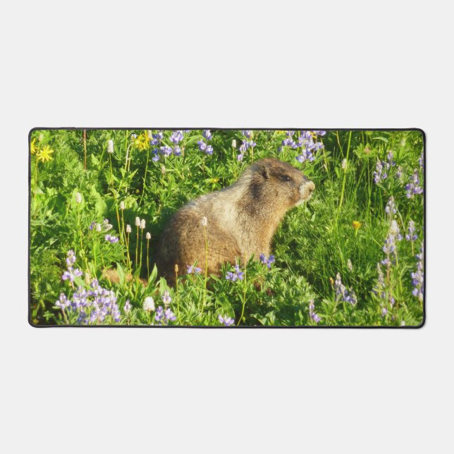 Marmot dans le Mont Rainier Fleurs sauvages (Recto)