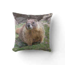 Marmot de Palouse tombe coussin de parc d'état