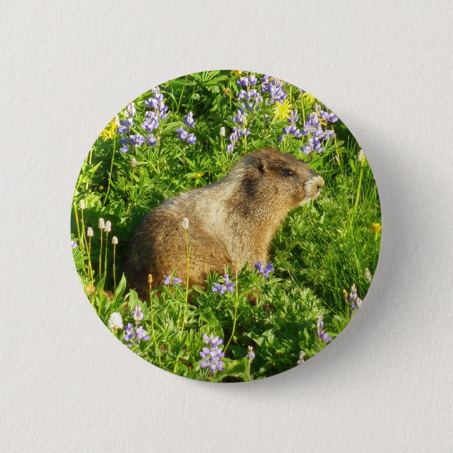 Marmot in Mount Rainier Wildflowers 2 Inch Round Button (Front)