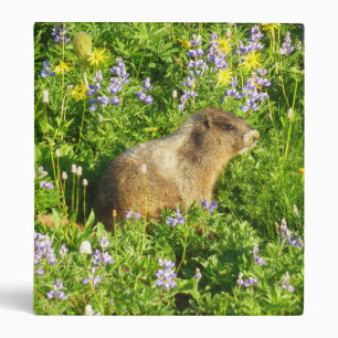 Marmot in Mount Rainier Wildflowers Binder
