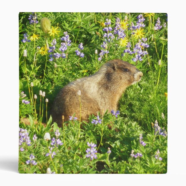Marmot in Mount Rainier Wildflowers Binder (Front)