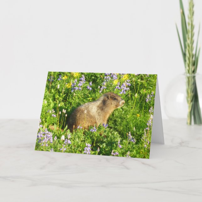 Marmot in Mount Rainier Wildflowers Card (Front)