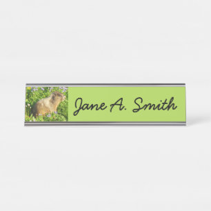 Marmot in Mount Rainier Wildflowers Desk Name Plate