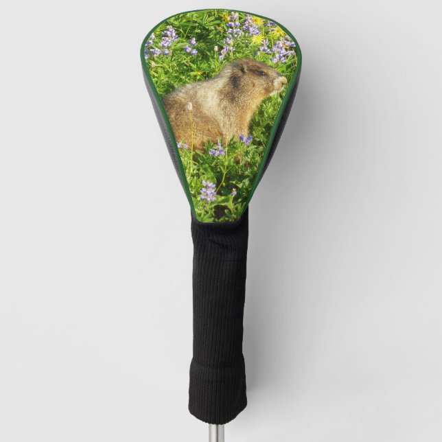 Marmot in Mount Rainier Wildflowers Golf Head Cover (Front)