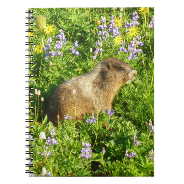 Marmot in Mount Rainier Wildflowers Notebook (Front)