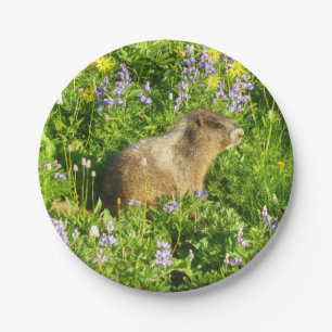 Marmot in Mount Rainier Wildflowers Paper Plate