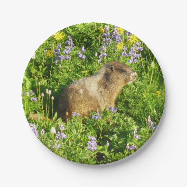 Marmot in Mount Rainier Wildflowers Paper Plate (Front)