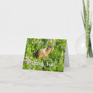 Marmot in Mount Rainier Wildflowers Thank You Card