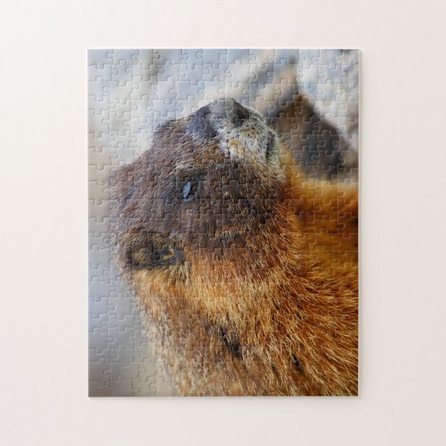 marmot jigsaw puzzle (Vertical)