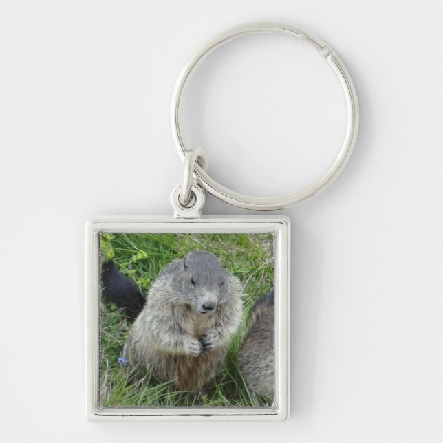 Marmot key chain (Front)