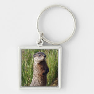 Marmot Keychain