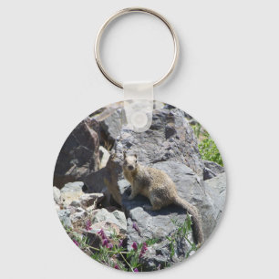 marmot keychain