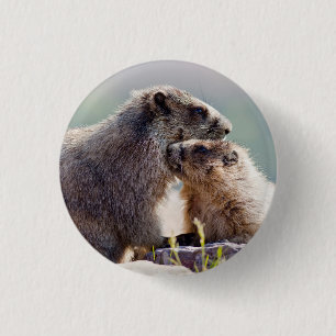 Marmot Mother with Baby 1 Inch Round Button