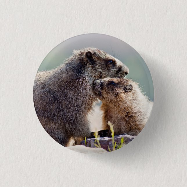 Marmot Mother with Baby 1 Inch Round Button (Front)