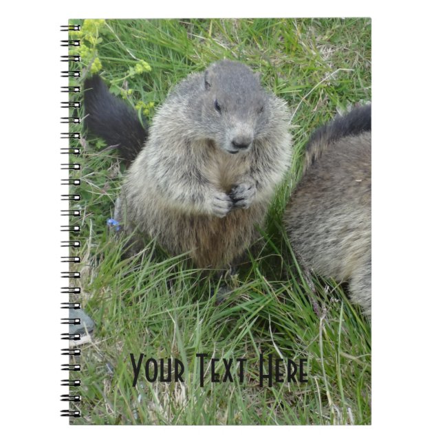 Marmot notebook (Front)