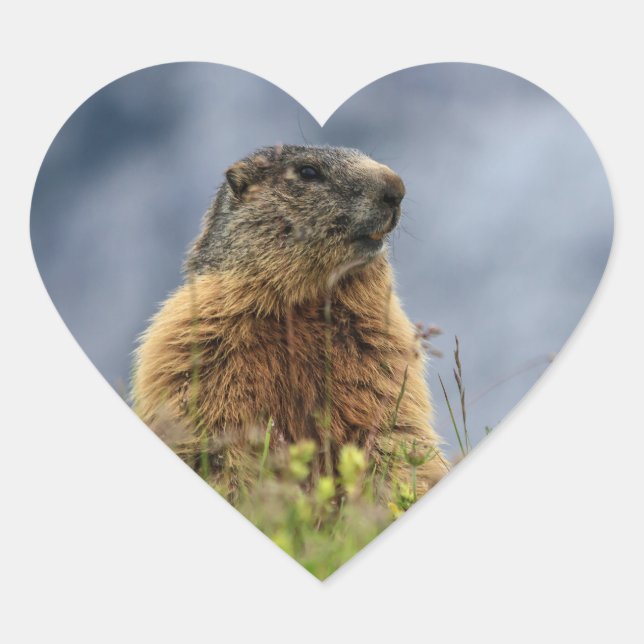 marmot on alpine meadow heart sticker (Front)