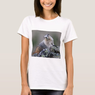marmot T-Shirt