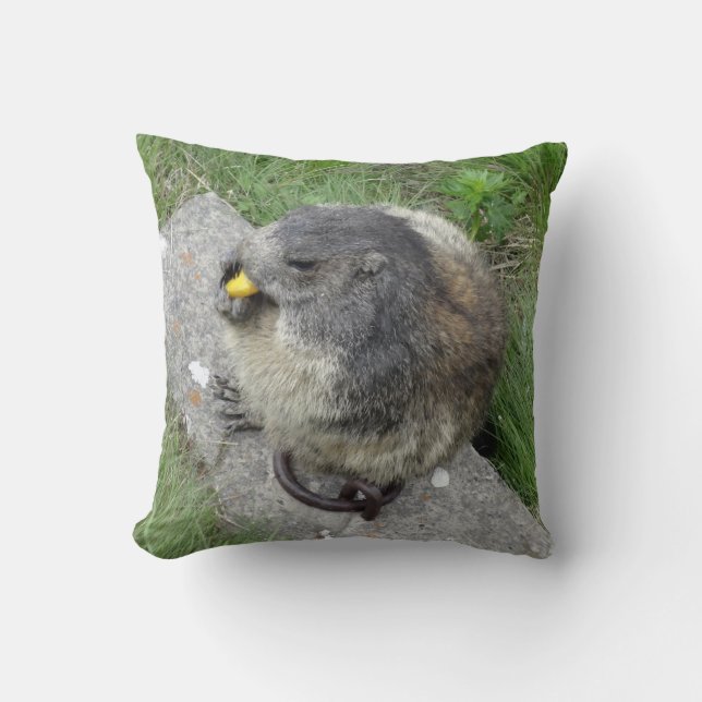 Marmot throw pillow (Front)