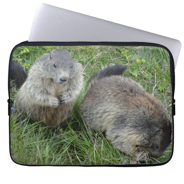 Marmots laptop sleeves (Front)
