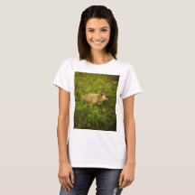 Marmotte dans un T-shirt de campagne