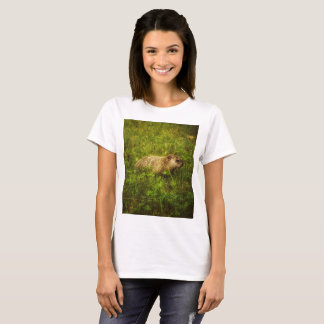 Marmotte dans un T-shirt de campagne
