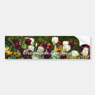 Maroon and Yellow Tulips Colourful Floral Bumper Sticker