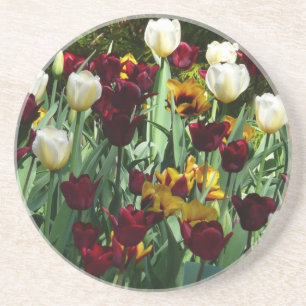 Maroon and Yellow Tulips Colourful Floral Coaster