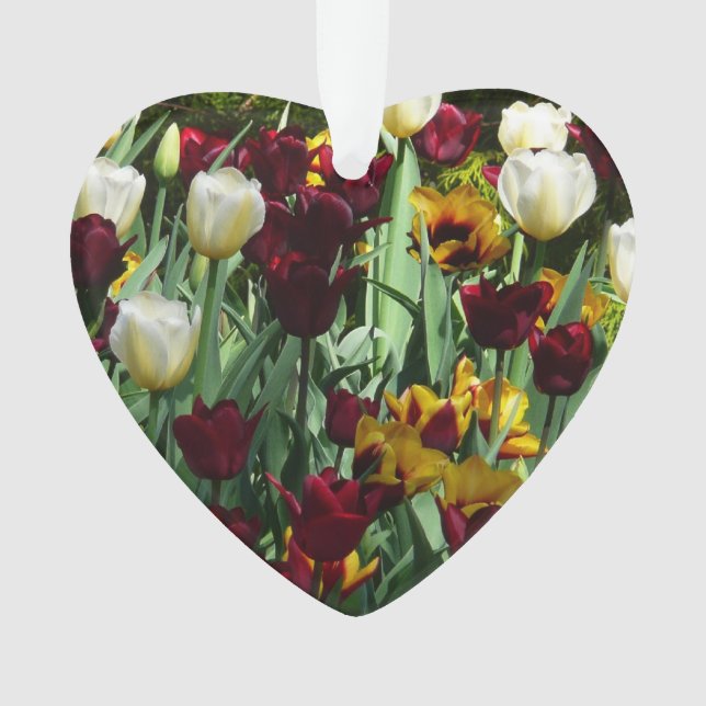 Maroon and Yellow Tulips Colourful Floral Ornament (Front)