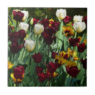 Maroon and Yellow Tulips Colourful Floral Tile