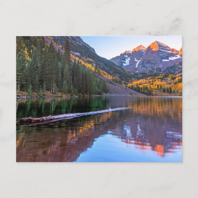 Maroon Bells Alpen Glow Postcard (Front)