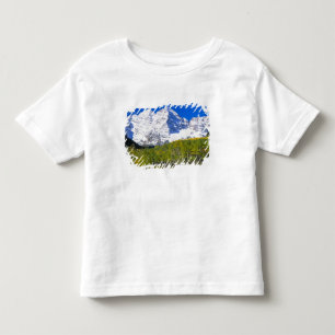Maroon Bells with autumn aspen forest. Toddler T-shirt