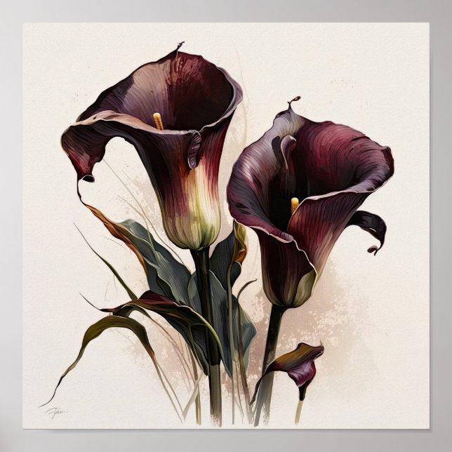 Maroon Calla Lilies Lily Flower Art Print Poster (Front)
