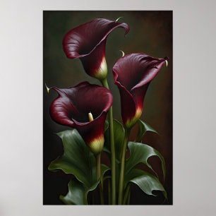Maroon Calla Lilies Lily Flower Art Print Poster