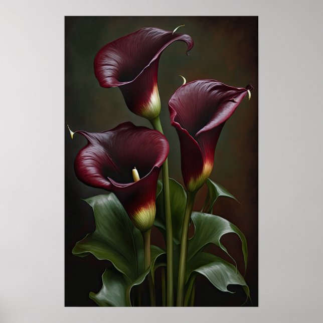 Maroon Calla Lilies Lily Flower Art Print Poster (Front)