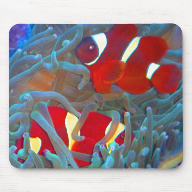 Maroon Clownfish Mouse Pad (Front)