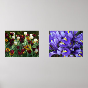 Maroon et Tulipes Jaunes Florales colorées