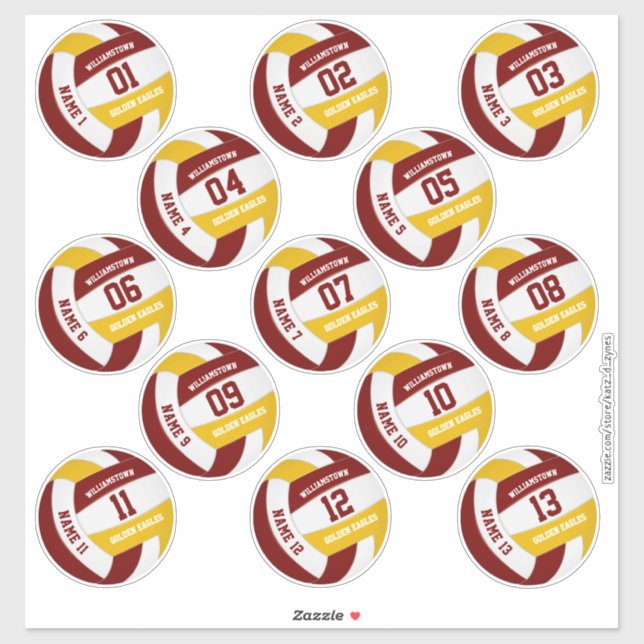 maroon gold volleyball team colours players names (Sheet)