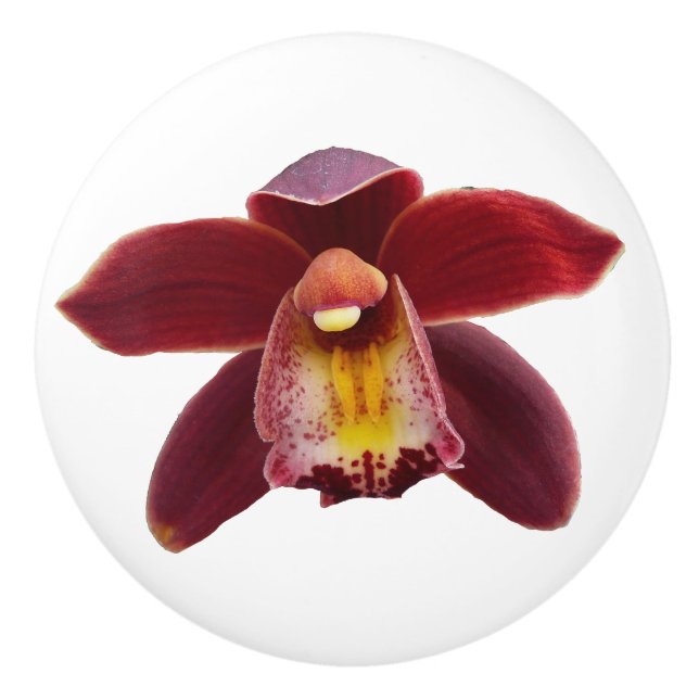 Maroon Orchids I Beautiful Red Floral Ceramic Knob (Front)