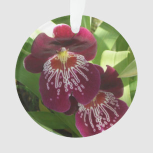 Maroon Orchids II