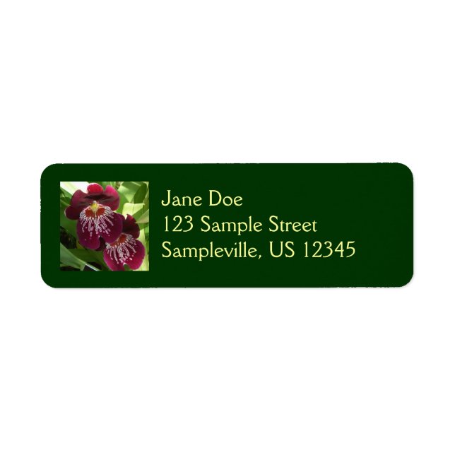 Maroon Orchids II Elegant Floral (Front)