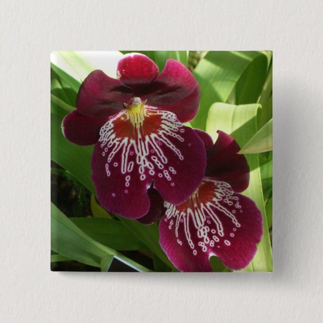 Maroon Orchids II Elegant Floral 2 Inch Square Button (Front)