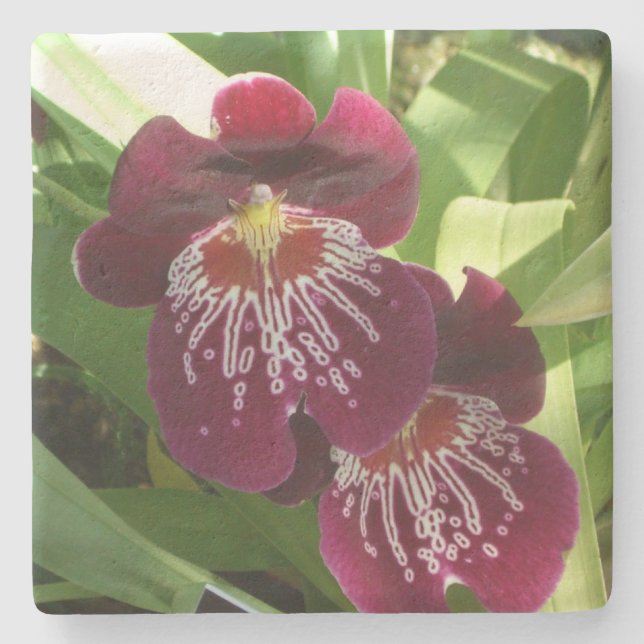 Maroon Orchids II Elegant Floral Stone Coaster (Front)