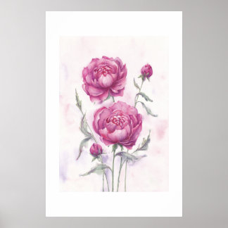 Maroon Peonies Poster