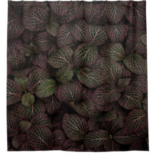Maroon petaled flower