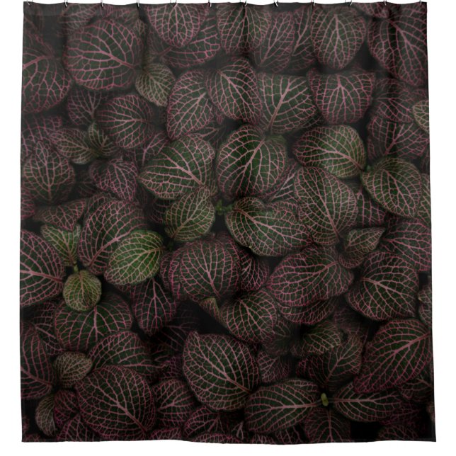 Maroon petaled flower (Front)