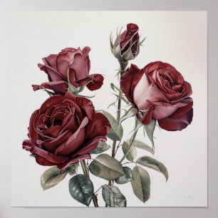 Maroon Rose Flower Art Imprimer Poster